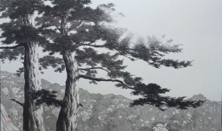Pine Tree-올려보기