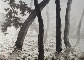 Pine Tree-시선