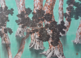 Pine Tree-시선