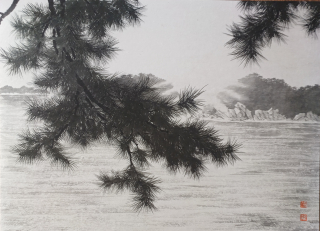 Pine Tree-시선