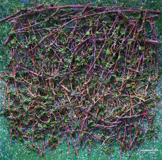 Heaven`s Forest33