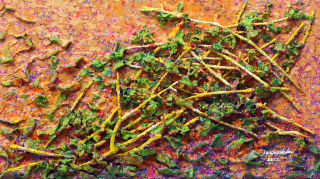 Heaven`s Forest39