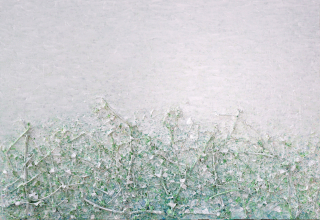 Calm12