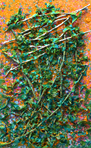 Heaven`s Forest36