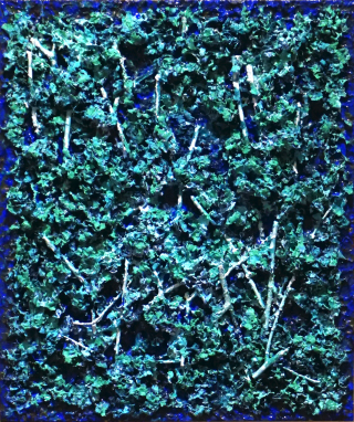 forest7