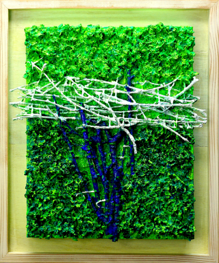 forest23
