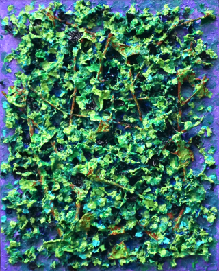 forest14