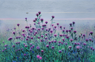 Thistle