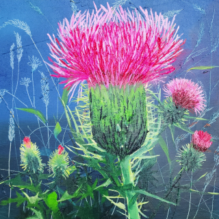 Thistle