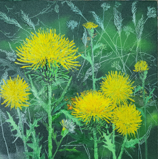 Thistle