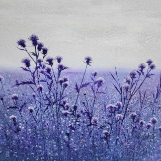 Thistle