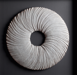 Sculptural Drawings-Curved form
