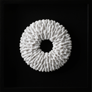 Sculptural Drawing