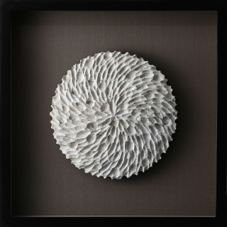 Sculptural Drawing
