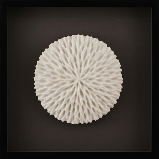 Sculptural Drawing