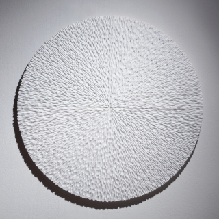 Fiat lux(White)