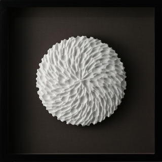 Sculptural Drawing