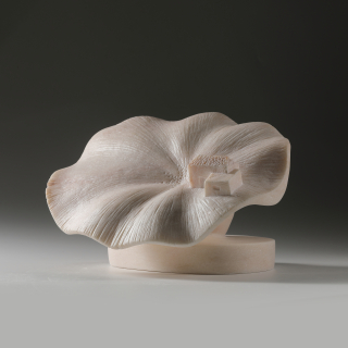 Bloomingness5