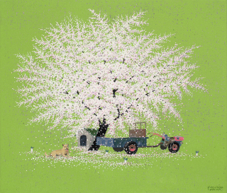 In full bloom M240907