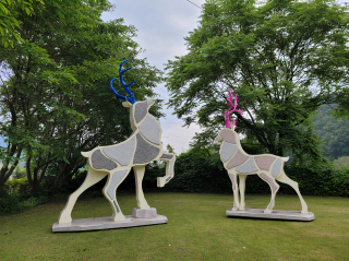 City Derr 가변크기