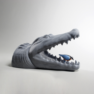 악어와 악어새 · The crocodile and the crocodile bird