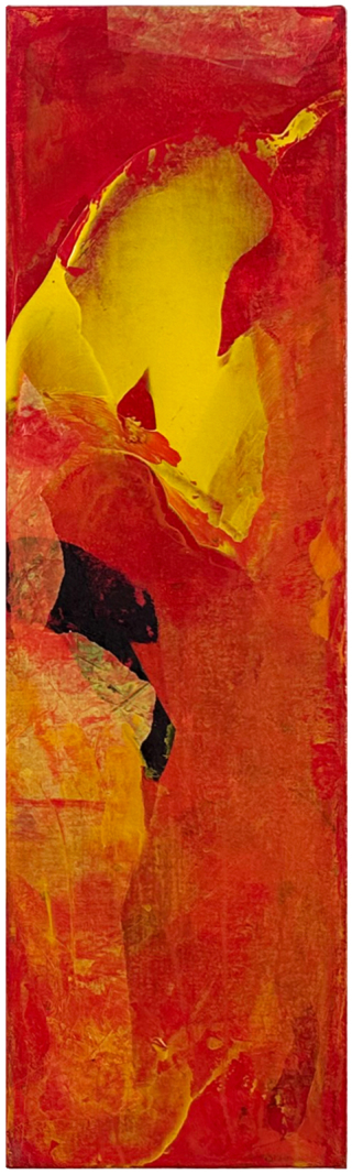Inscape XII