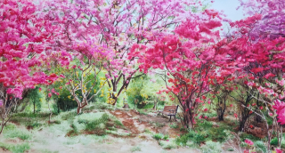 봄날-완산칠봉꽃동산