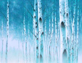 birch-white soul. NO 23-11