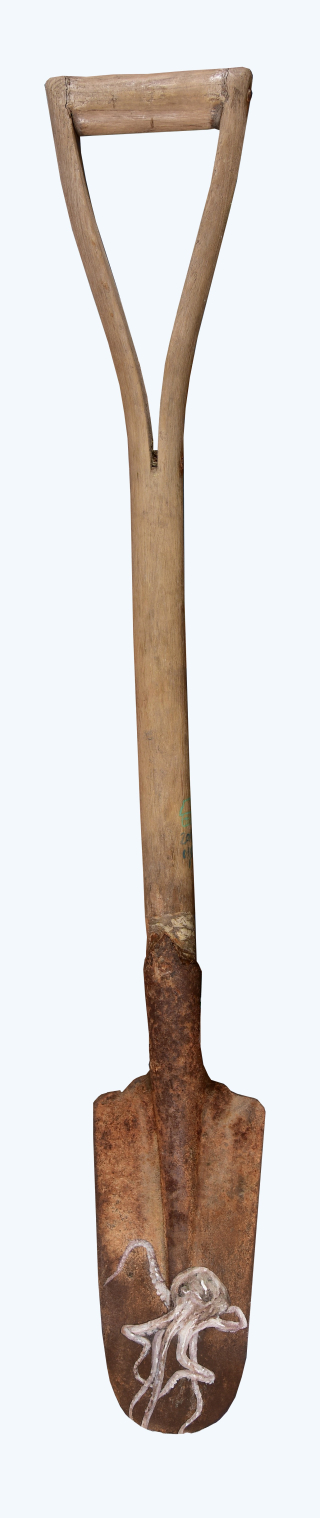 무안-한삽의 생