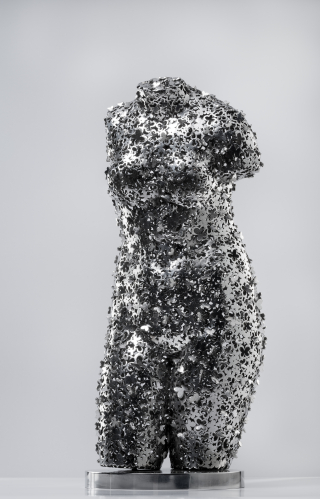 Montage – 토르소