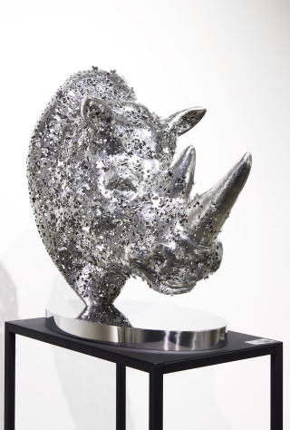 Montage - Rhinoceros