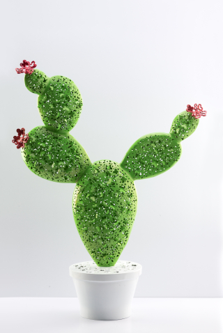 Montage – 선인장