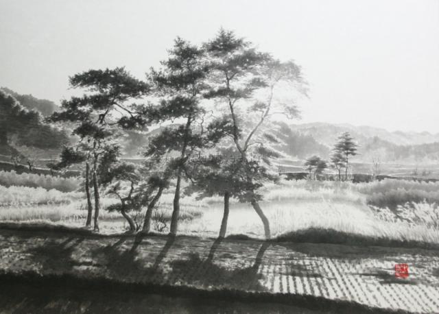 강원들녘