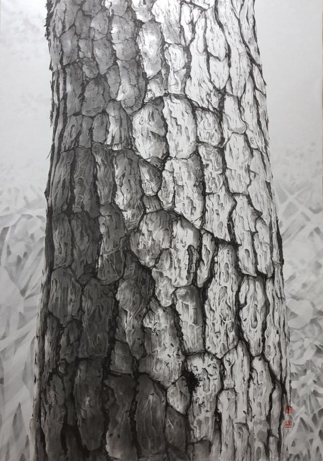 시선