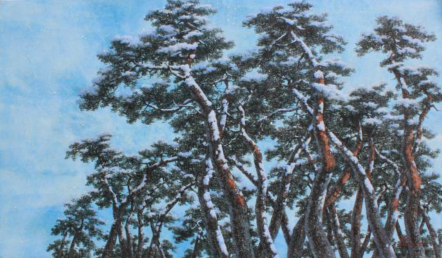 pine Tree