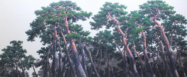 pine tree