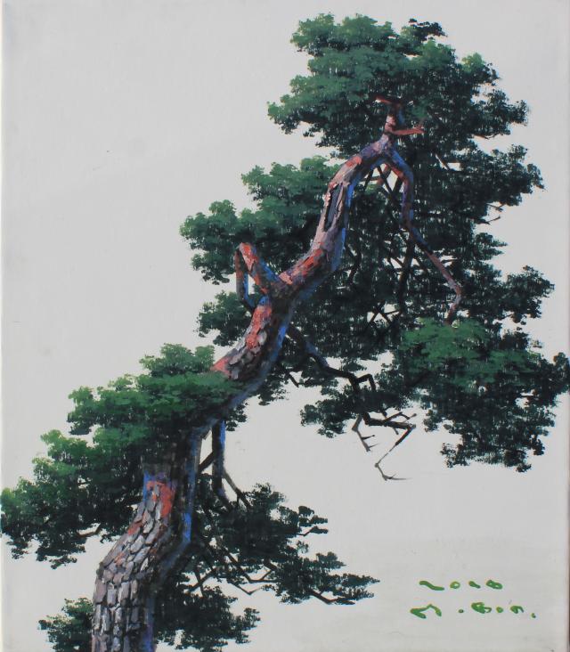 pine tree