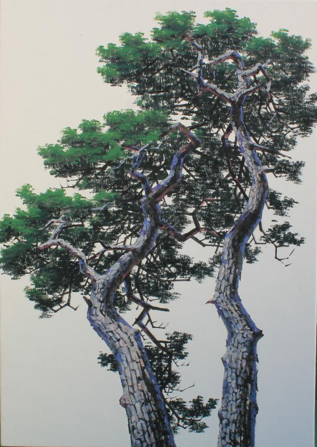 pine tree