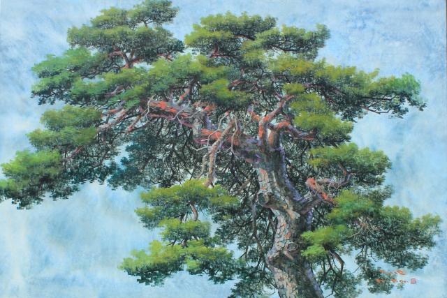 pine tree