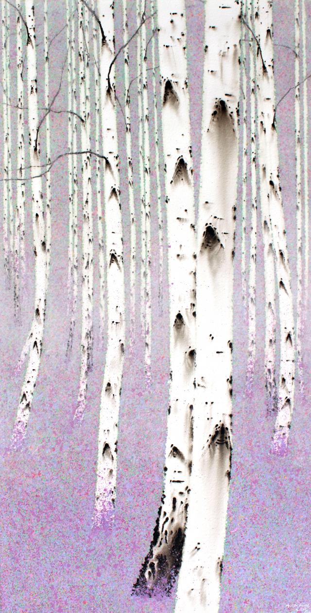 birch-white soul. NO18-56