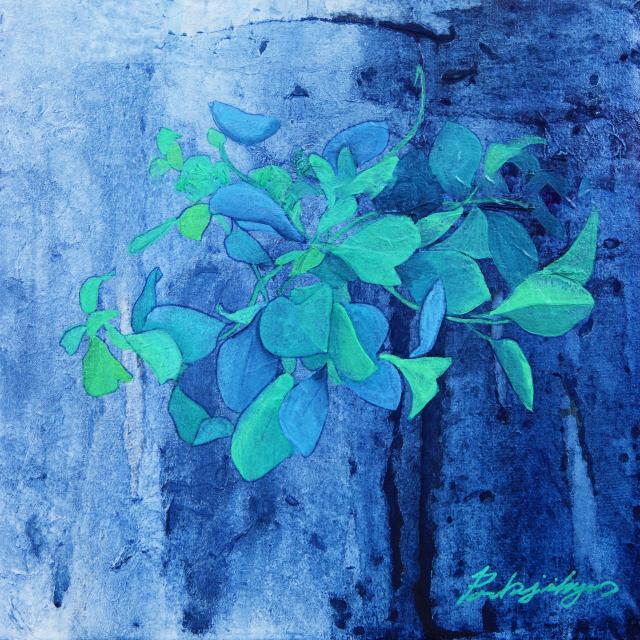 회상-Eucalyptus1