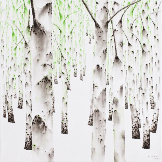 birch-white soul. NO 13-16