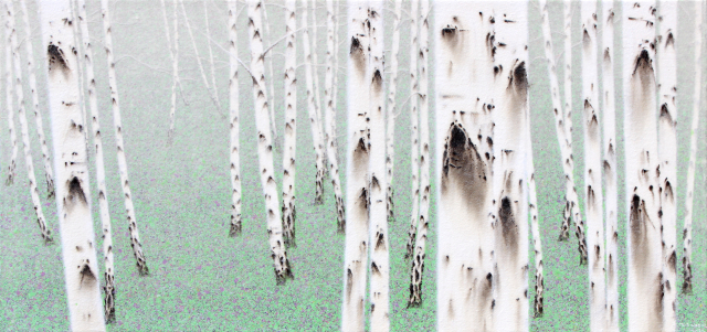 birch-white soul. NO 22-09