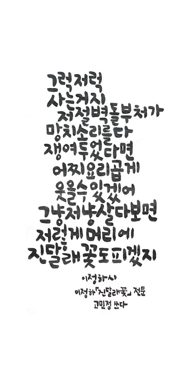 고민정-[진달래꽃]