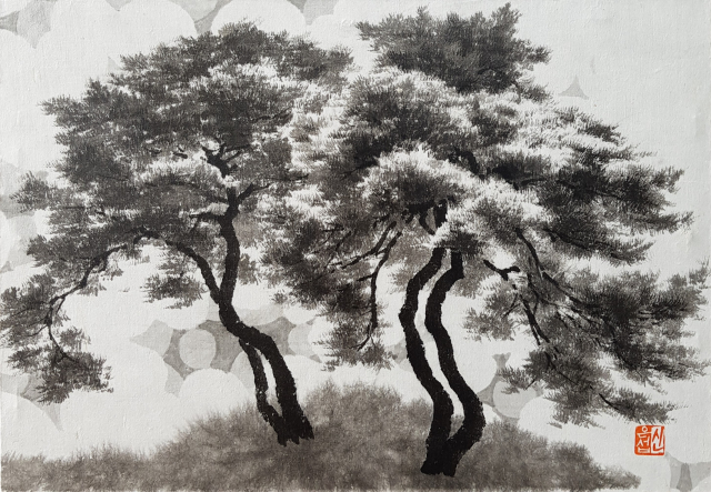 Pine Tree-시선