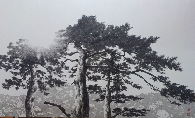 Pine Tree-올려보기
