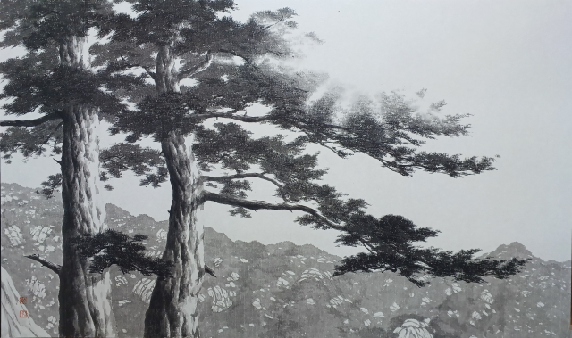 Pine Tree-올려보기