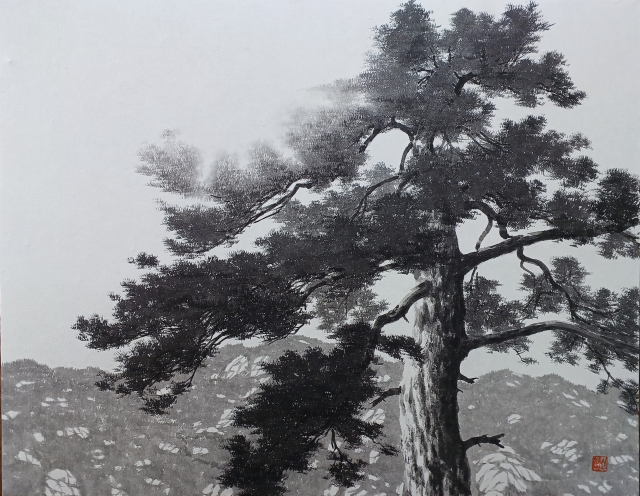 Pine Tree-올려보기