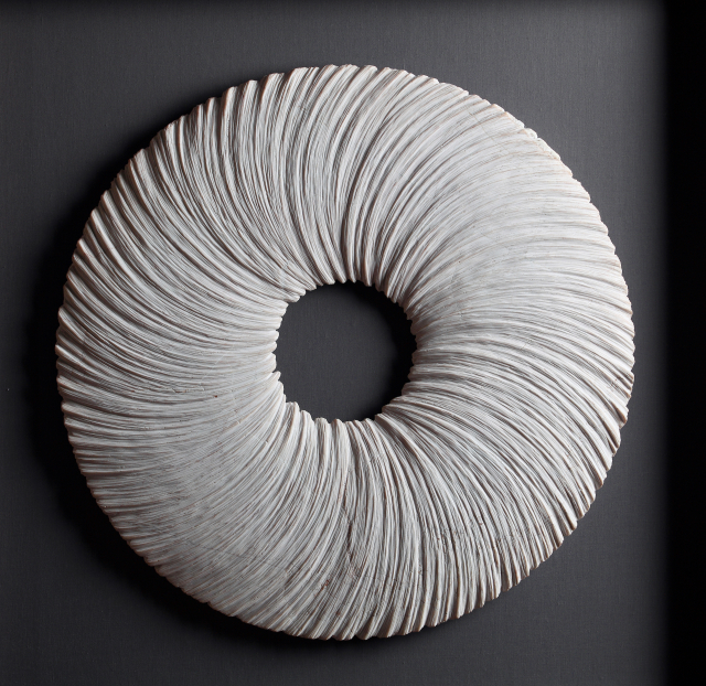 Sculptural Drawings-Curved form