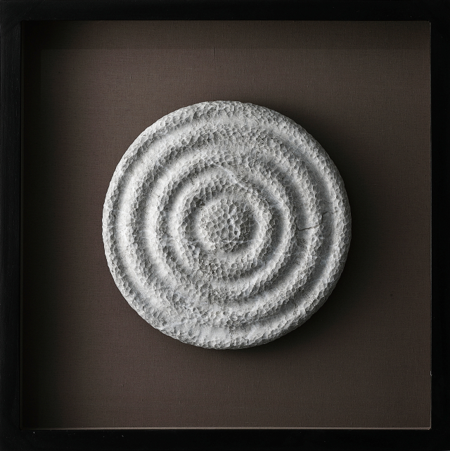 Sculptural Drawing